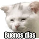 Buenos días