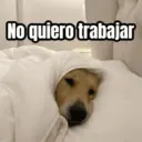 No quiero trabajar