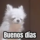 Buenos días