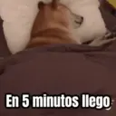 Guariomantica En 5 minutos llego