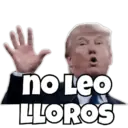 no Leo LLOROS