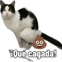 00 ¡Qué cagada!