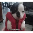 Santos cielos Doc.