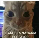 GLÁNDULA MAMARIA PORFAVOR