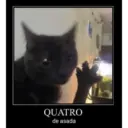 QUATRO de asada