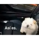 Así es.