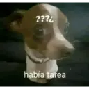 ???¿ había tarea
