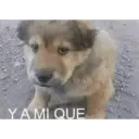 Y A MI QUE