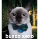 busco sexo