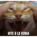 VETE A LA VERGA