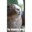 tu mama wey