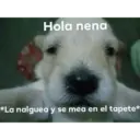 Hola nena *La nalguea y se mea en el tapete*
