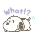 Snoopy 🤍😍 9