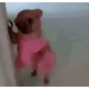 Tiktok 6