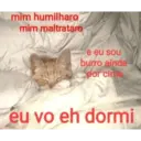 mim humilharo mim maltrataro e eu sou burro ainda por cima eu vo eh dormi