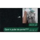20:31 Quer ir pular da ponte??? 20:32 од