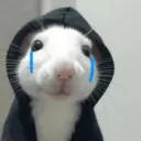 Rata Triste Random 🐀 8