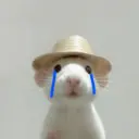 Rata Triste Random 🐀 14