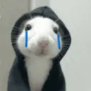 Rata Triste Random 🐀 7