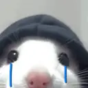 Rata Triste Random 🐀 11