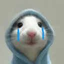 Rata Triste Random 🐀 2