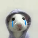 Rata Triste Random 🐀 5