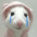 Rata Triste Random 🐀 4