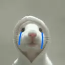 Rata Triste Random 🐀 10