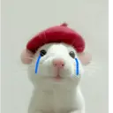 Rata Triste Random 🐀 6