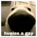 hueles a gay