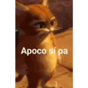 Apoco sí pa