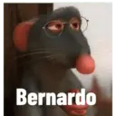 Bernardo