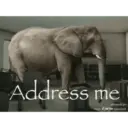 Address me @dreadd.pr From Tik Tok comment