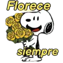 Florece siempre
