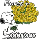 Flores &+ Sonrisas