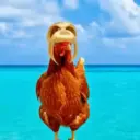 Gallinas bailando 🐔 TikTok 10