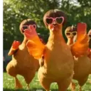 Gallinas bailando 🐔 TikTok 11