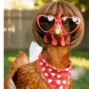 Gallinas bailando 🐔 TikTok 12