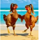 Gallinas bailando 🐔 TikTok 13
