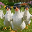Gallinas bailando 🐔 TikTok 18