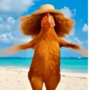 Gallinas bailando 🐔 TikTok 5