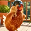 Gallinas bailando 🐔 TikTok 7