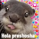Hola preshosha
