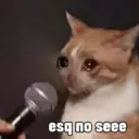 esq no seee