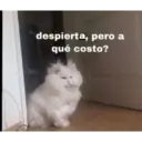 despierta, pero a qué costo?