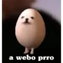 a webo prro