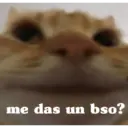 me das un bso?