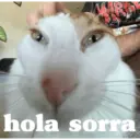 hola sorra