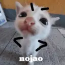 nojao د EPS