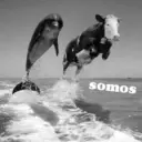somos